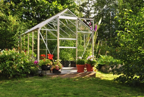 greenhouse-glass